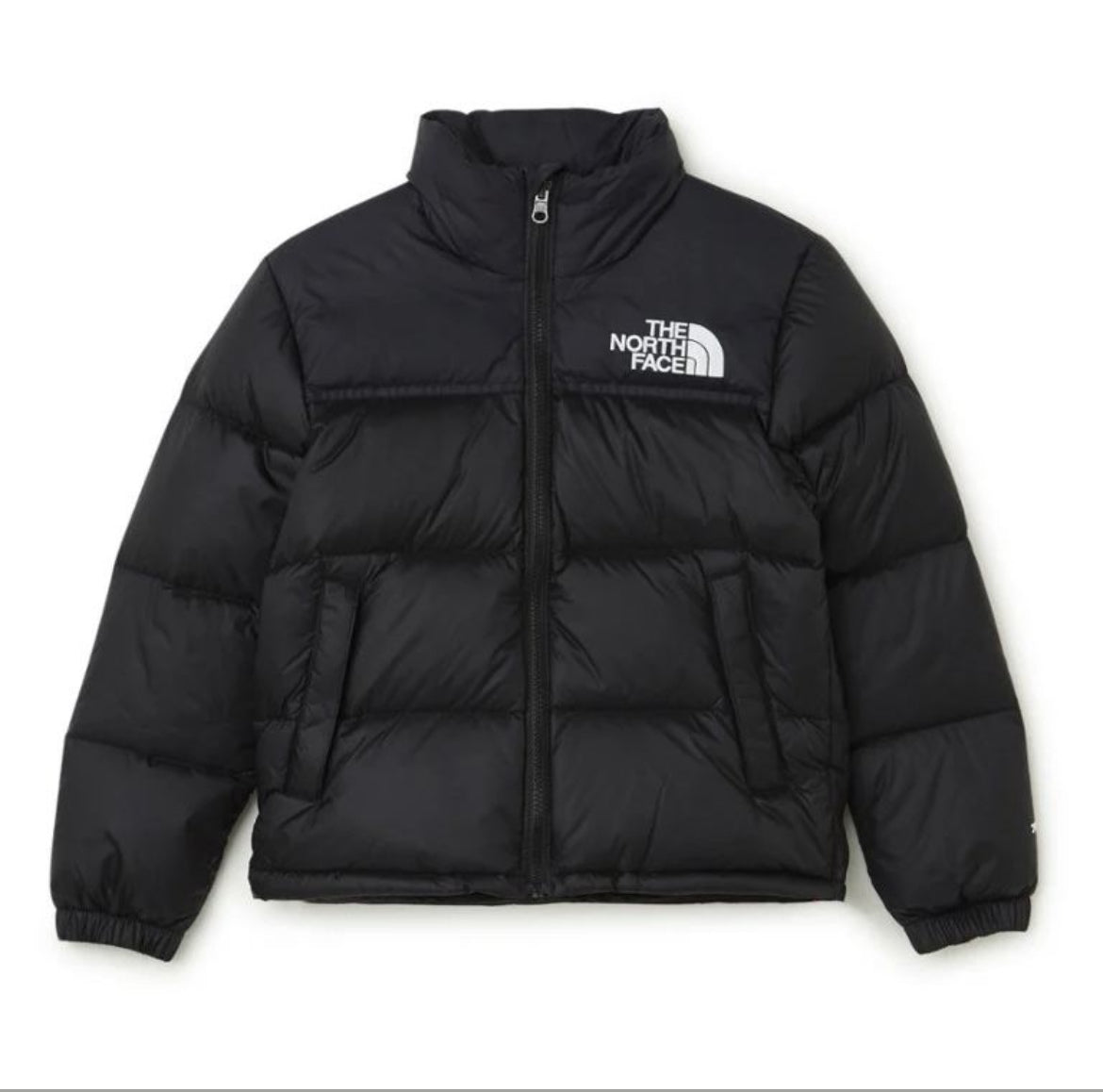 The North Face Jacket